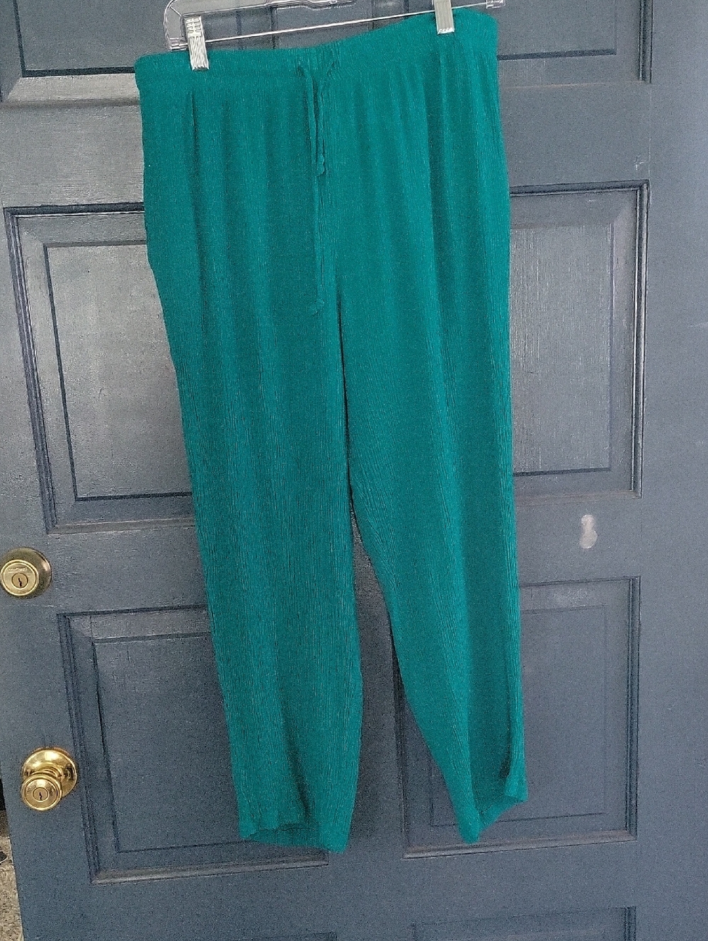Sag Harbor Teal Wide-Leg Pull-On Pants